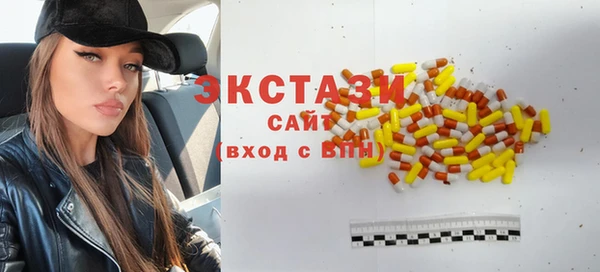 шишки Лабытнанги