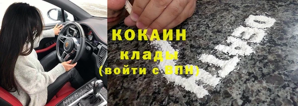 мдпв Ладушкин