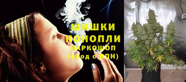 мдпв Ладушкин