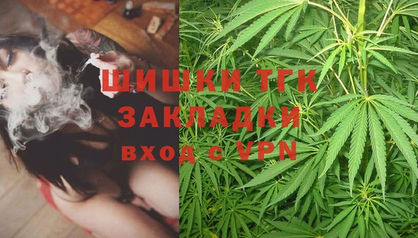 шишки Лабытнанги